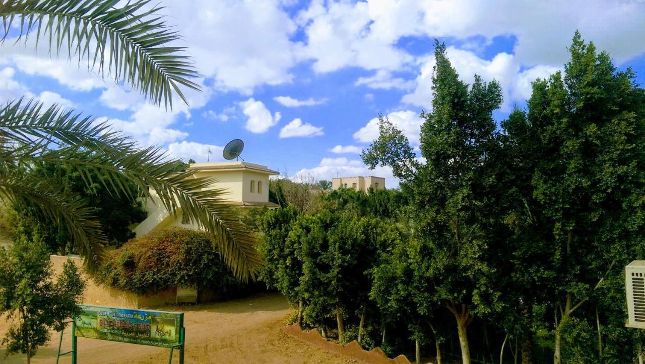 The Farm - Hotel & Horse Riding Il Il Cairo Esterno foto