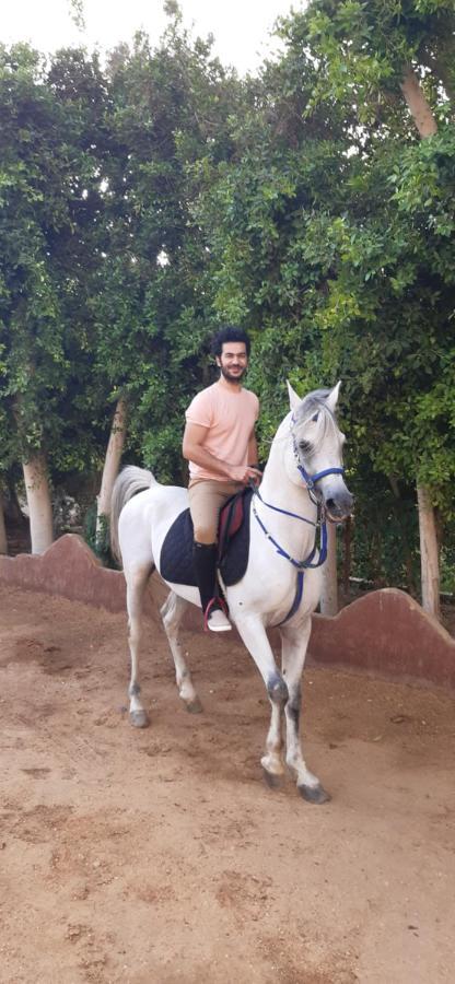 The Farm - Hotel & Horse Riding Il Il Cairo Esterno foto