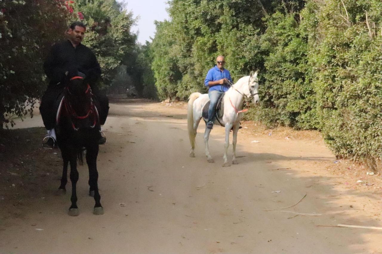 The Farm - Hotel & Horse Riding Il Il Cairo Esterno foto