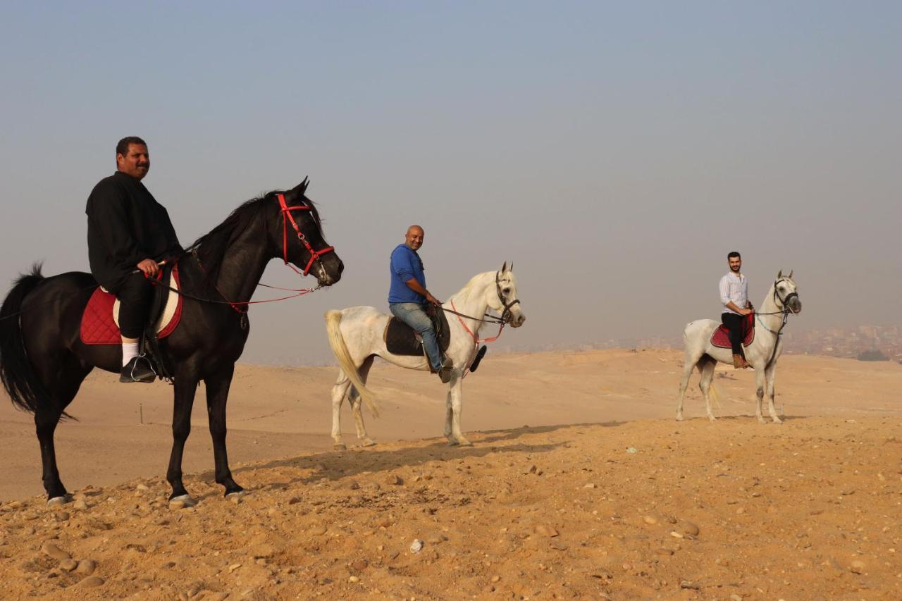The Farm - Hotel & Horse Riding Il Il Cairo Esterno foto