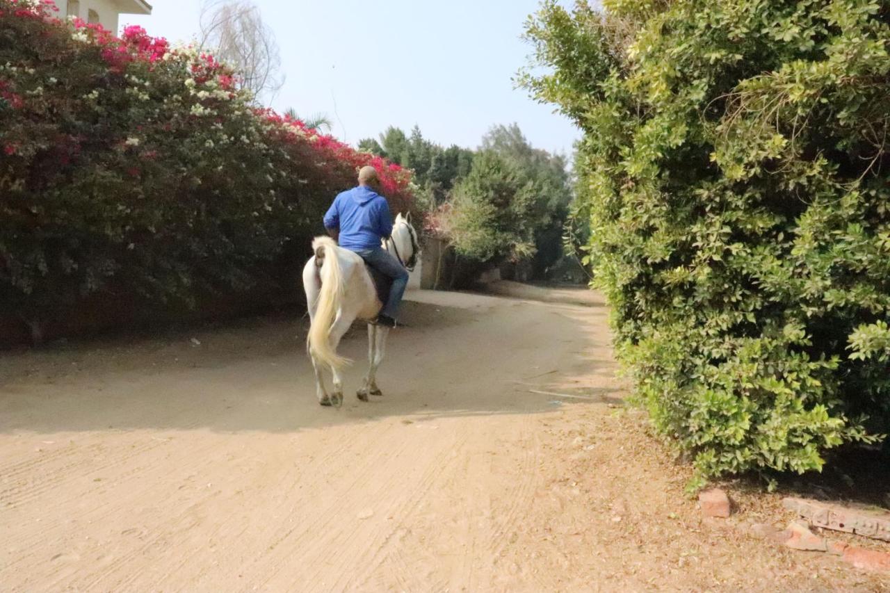 The Farm - Hotel & Horse Riding Il Il Cairo Esterno foto