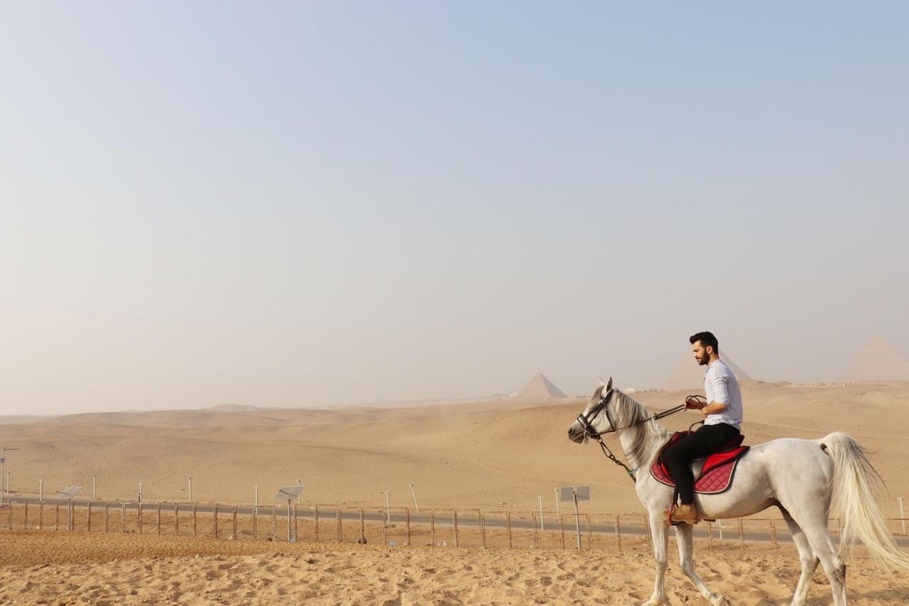 The Farm - Hotel & Horse Riding Il Il Cairo Esterno foto